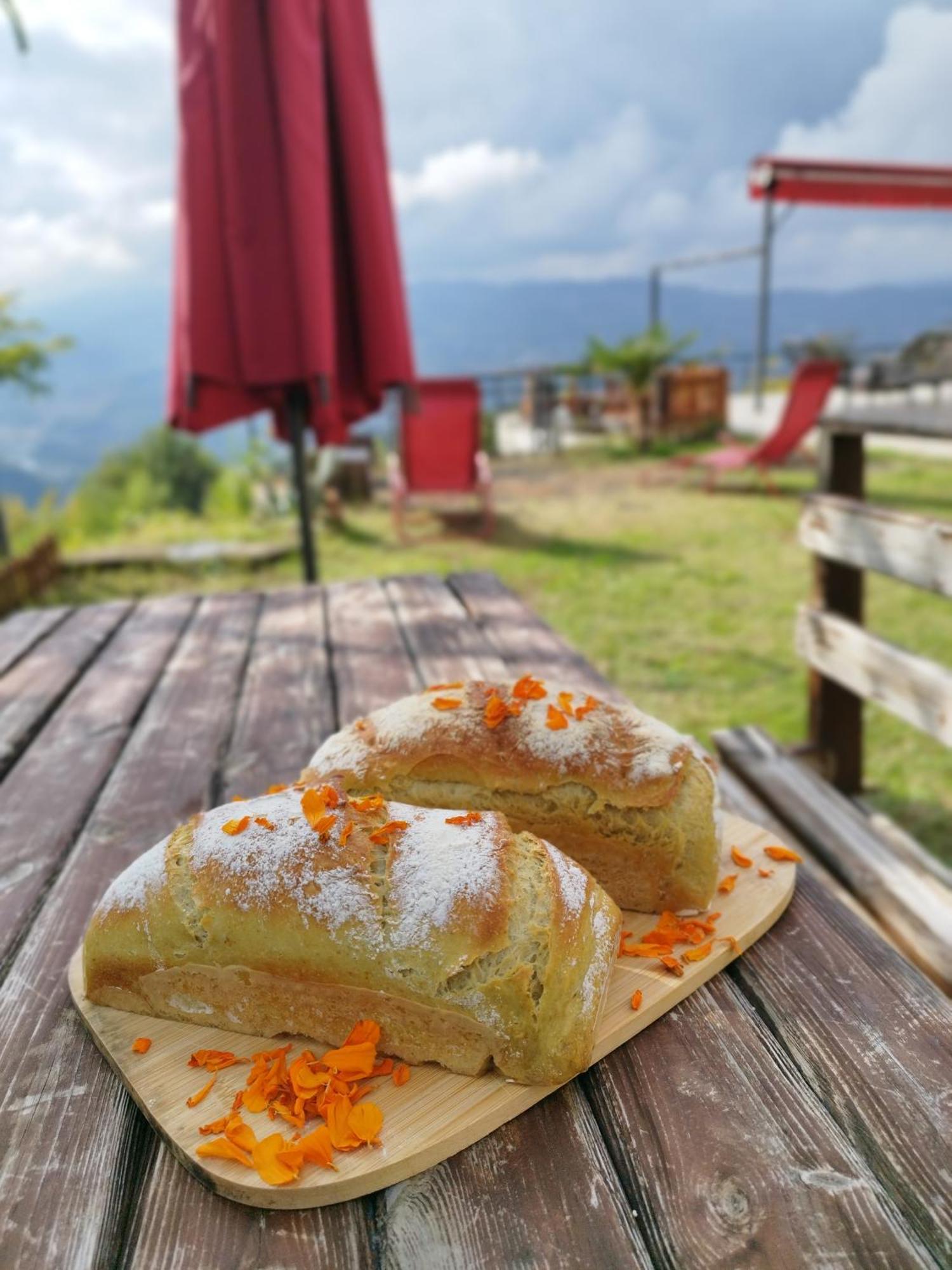 Hayat Oksijen Resort Орду Экстерьер фото