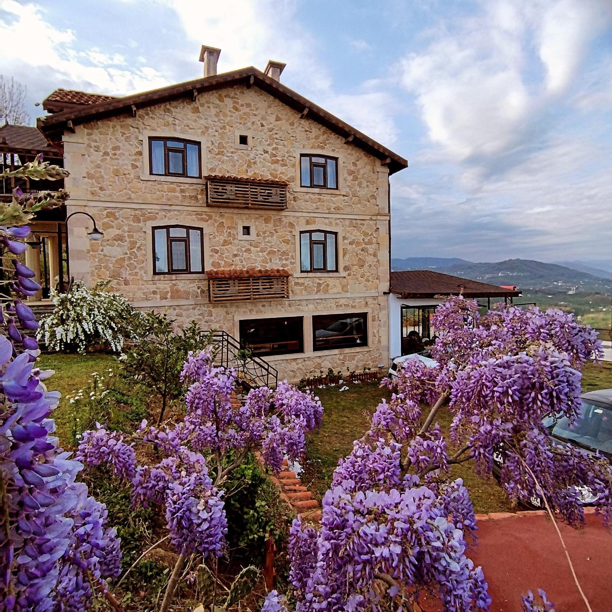 Hayat Oksijen Resort Орду Экстерьер фото